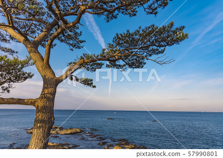 [秋穀的立石清晨] 57990801