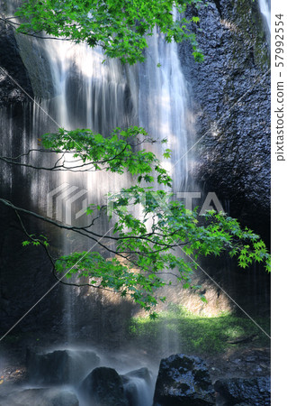 Tatsuzawa Fudo Waterfall, Momiji (Fukushima Prefecture, Inawashiro Town) Tatsuzawa Fudo Waterfall, Momiji (Fukushima Prefecture, Inawashiro Town) 57992554