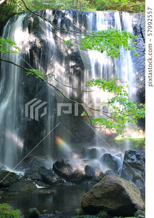 Tatsuzawa Fudo Waterfall, Momiji (Fukushima Prefecture, Inawashiro Town) 57992557