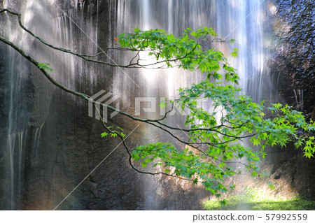 Tatsuzawa Fudo Waterfall, Momiji (Fukushima Prefecture, Inawashiro Town) 57992559