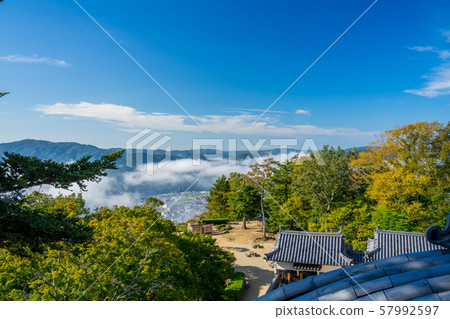 Sea of clouds seen from Bicchu Matsuyama Castle Sea of clouds seen from Bicchu Matsuyama Castle 57992597