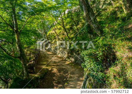 Bitchu Matsuyama Castle Bitchu Matsuyama Castle 57992712