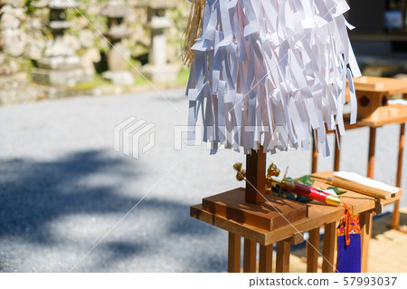 禱告大麻大仙大usa 禱告大麻大仙大usa 57993037