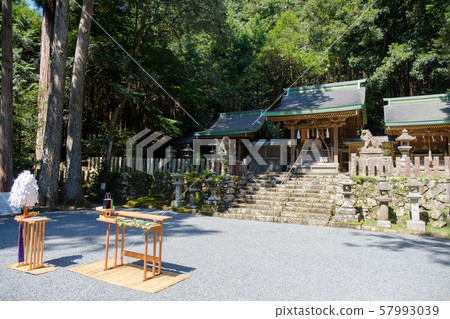 大齋U神社大仙大usa 大齋U神社大仙大usa 57993039