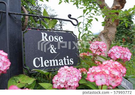 sign, signboard, signs 57993772