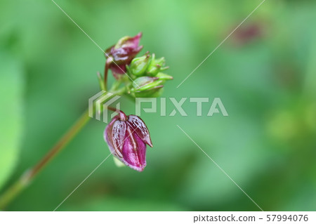 Fishing boat grass 57994076