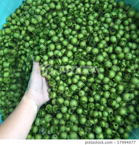 fresh and ripe ebony fruit the Thai native silk or 57994077