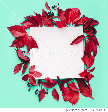 Red leaves and blue berries frame on mint 57994281