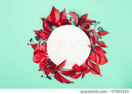 Red leaves and blue berries on mint background. 57994283