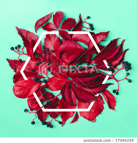 Red leaves and blue berries on mint background. 57994284