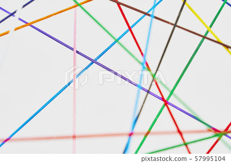 The network 57995104