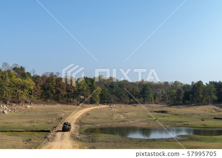 Landscape, Pench, Madhya Pradesh, India 57995705