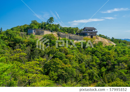 鬼野城堡 57995852