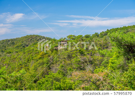 鬼野城堡 57995870