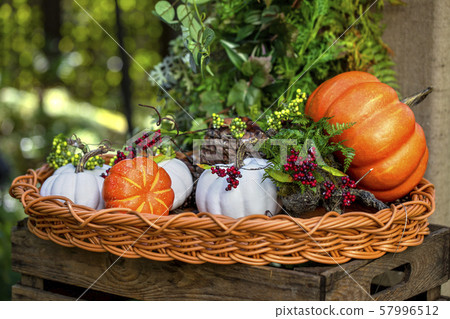 Halloween Halloween 57996512