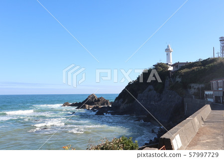 偉大的西貢國王 57997729