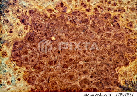 Nature burl wood striped Exotic wooden beautiful pattern for crafts or abstract art texture background Nature burl wood striped Exotic wooden beautiful pattern for crafts or abstract art texture background 57998078