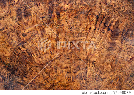 Nature burl wood striped Exotic wooden beautiful pattern for crafts or abstract art texture background Nature burl wood striped Exotic wooden beautiful pattern for crafts or abstract art texture background 57998079