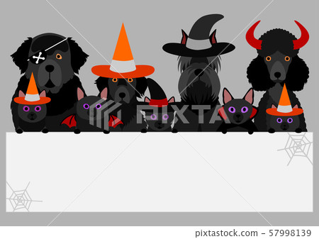 Halloween dog and cat white board 57998139