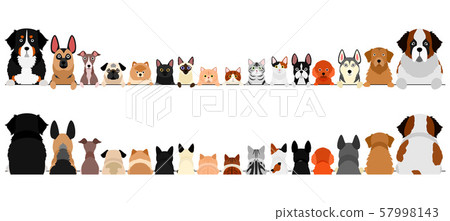 Dog and cat border, small dog and large dog, upper body set Dog and cat border, small dog and large dog, upper body set 57998143