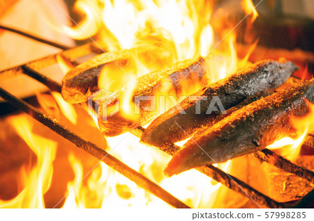 Salmon roasted salmon Salmon roasted salmon 57998285