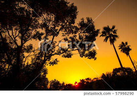 Walk at dusk Walk at dusk 57998290