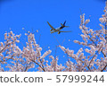 Spring takeoff 57999244