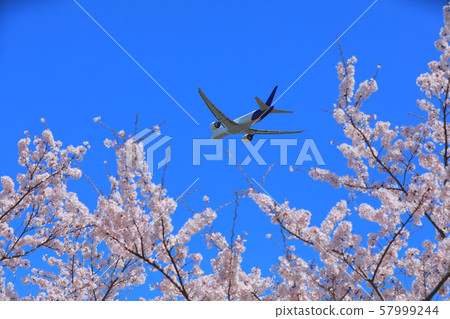 Spring takeoff 57999244