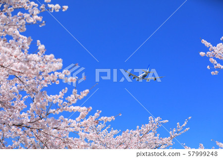 春季起飛 57999248