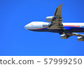 Spring takeoff 57999250