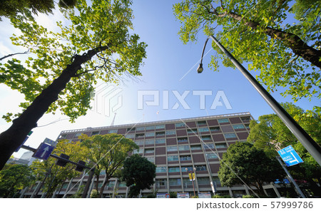 橫濱市廳在日本橫濱城市景觀的景色 57999786