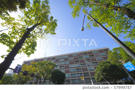 橫濱市廳在日本橫濱城市景觀的景色 橫濱市廳在日本橫濱城市景觀的景色 57999787