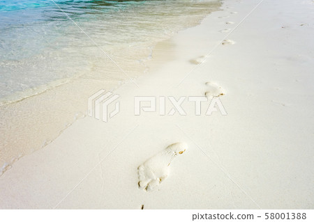 footprints on a tropical beach footprints on a tropical beach 58001388
