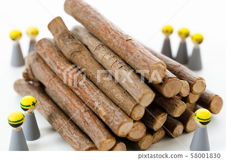 Forestry Timber Timber Tree Forest Logging 58001830