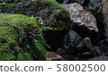 Akebono shran 58002500