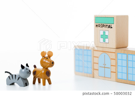 Pet Animal Hospital Hospital Pet Animal Hospital Hospital 58003032