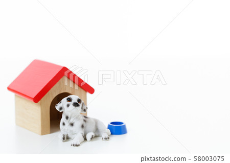 Pet dog 58003075
