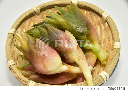 Mika, Myouga, Myouga 58003126