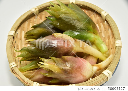 Mika, Myouga, Myouga 58003127