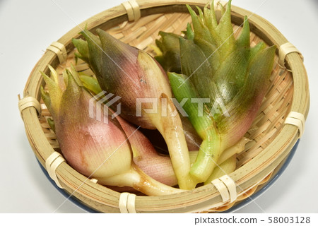 Mika, Myouga, Myouga 58003128