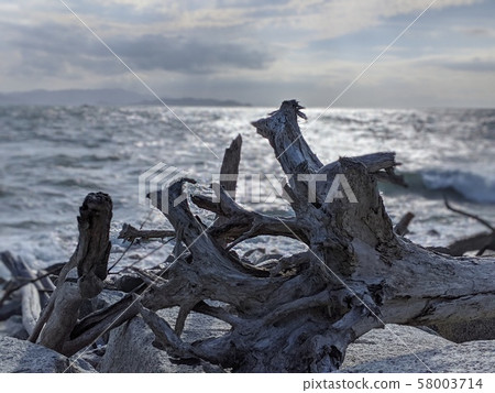 Cape Irago Koijigahama Aranami and Driftwood Cape Irago Koijigahama Aranami and Driftwood 58003714