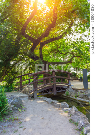 Wooden bridge over a creek in a Budapest park Wooden bridge over a creek in a Budapest park 58004850