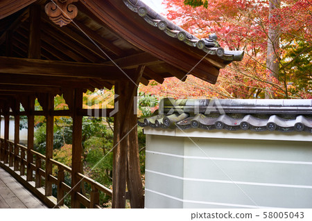 Temple autumn leaves 58005043