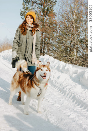 Red dog husky with his mistress brunette girl  Red dog husky with his mistress brunette girl  58005103