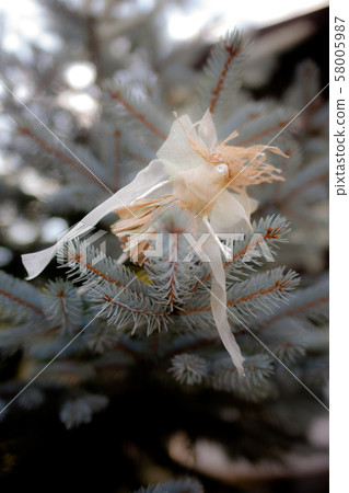 fairy fairy 58005987