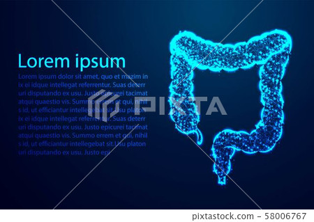 colon, intestine, digestive system, Human Anatomy. 58006767