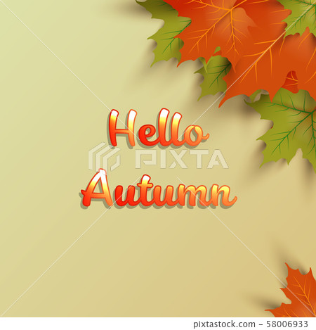Autumn leaf Background vector illustration Autumn leaf Background vector illustration 58006933