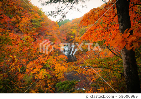 (Ibaraki Prefecture) Ikase Falls Autumn leaves (Ibaraki Prefecture) Ikase Falls Autumn leaves 58006969