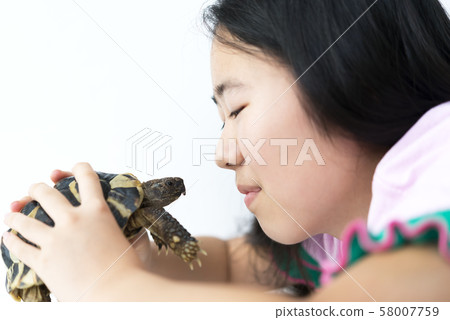 Girl and pet hermann tortoise 58007759