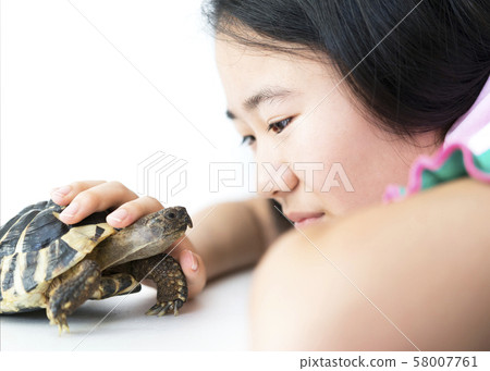 女孩和寵物赫爾曼烏龜 女孩和寵物赫爾曼烏龜 58007761